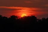 Захід Сонця. Сонце ховається за лісом - фото зроблене через телефото об'єктив